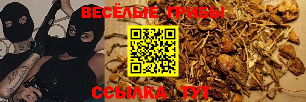 Златоуст  ГАШ  МЕФ кристаллы  АМФ   NBOMe  Вход с VPN  ГАШИШ  МАРИХУАНА 